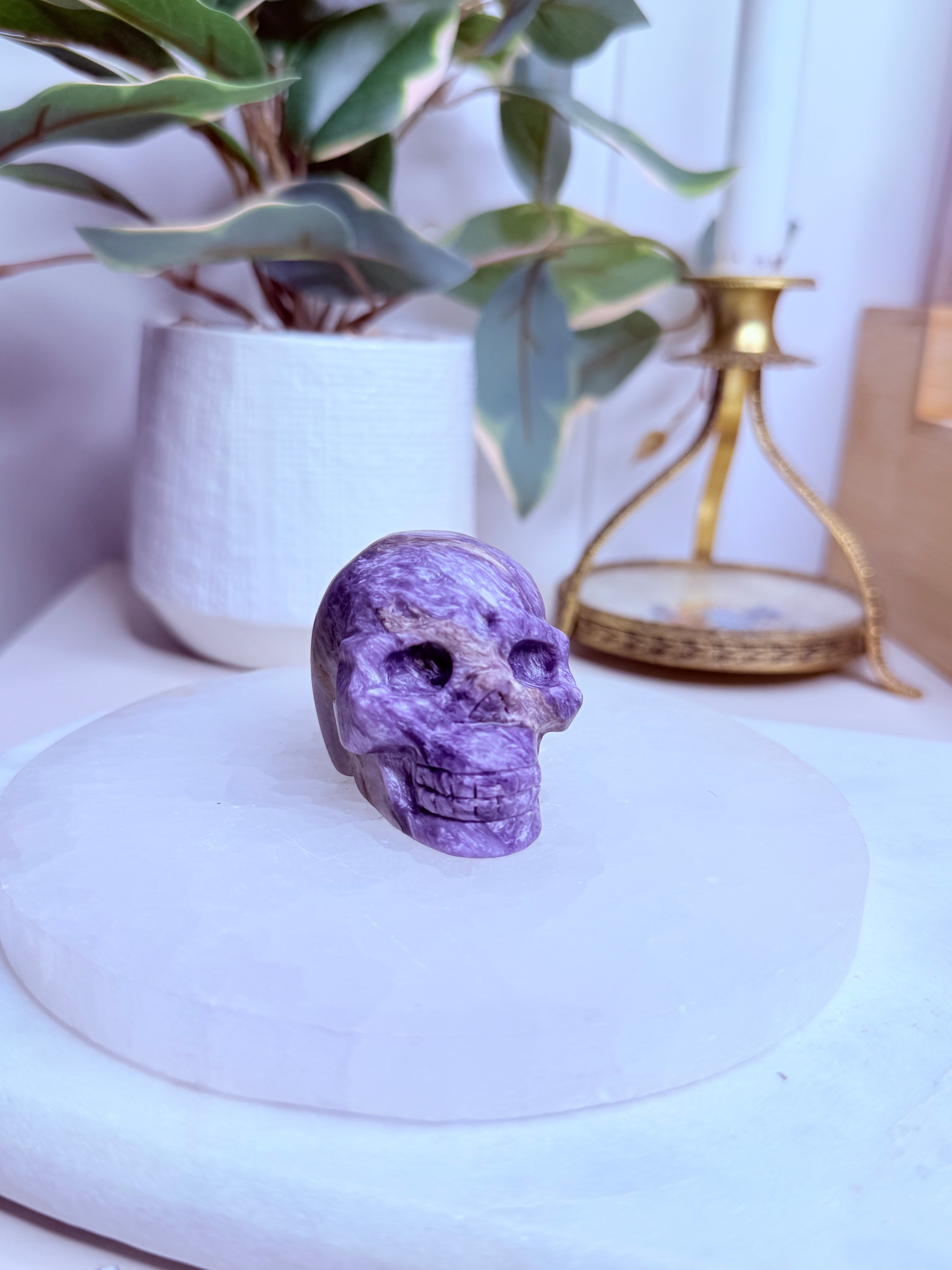 Charoite Skull